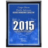 Carpe Diem Profit Advisor Logo