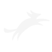 Fox Valley Technologies Logo