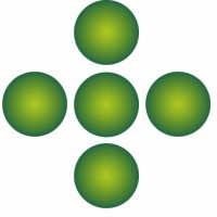 Bionanoplus Logo