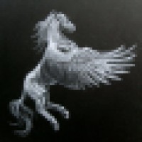 A Pegasus Management Logo