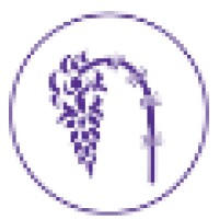 Transylvania Food Company Srl Logo