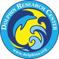 Dolphin Research Center Logo