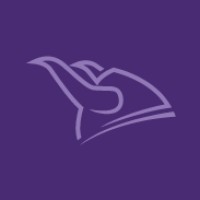 Viking Partners Logo