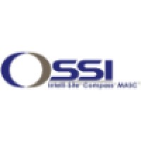 OLTIS Security Systems International LLC Logo