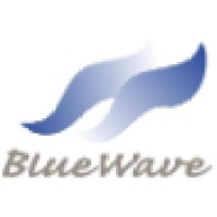 Blue Wave Informatics LLP Logo