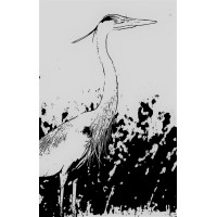 Marx Wetlands LLC Logo