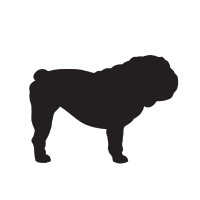 Goodstuff Creative Logo