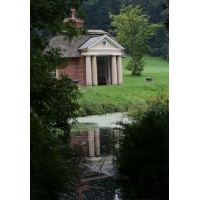 Anthony Paine Limited Logo
