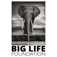 Big Life Foundation Logo