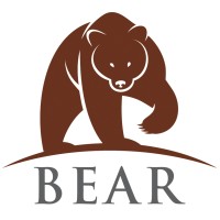 BEAR Business Valuation LLC Logo