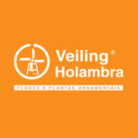 Veiling Holambra Logo