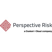 Perspective Risk Logo