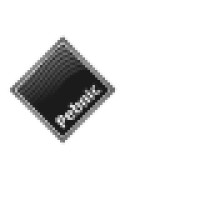 Pebnic Ventures Limited Logo