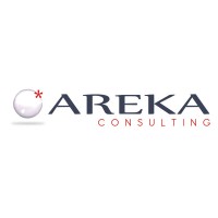 AREKA CONSULTING Logo