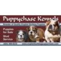 Puppychase Kennels Logo