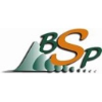 BSP International Logo