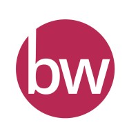 Businesswise Solutions Logo