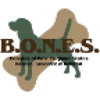 Beagles of New England States (B.O.N.E.S.) Logo