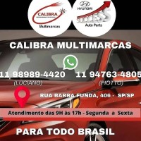 CALIBRA DIST DE AUTO PEÇAS LTDA Logo