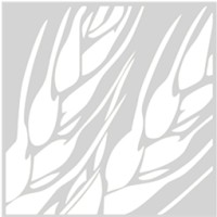Rochester Wealth Management Group, LLC Logo