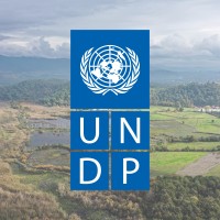 UNDP Türkiye Logo