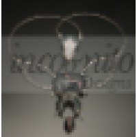 Incognito Designs Logo