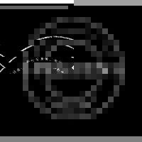 Pehuen Consulting Logo