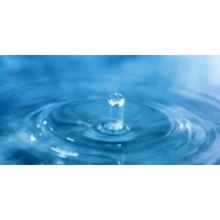 Aquatic Solutions Logo
