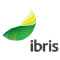Ibris Holdings Logo