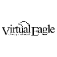 Virtual Eagle Logo