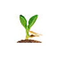 Micro Business Development Corporation Logo