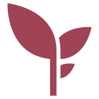 Footwork First Limited Logo