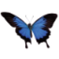 Psychotherapy Private Practice Logo
