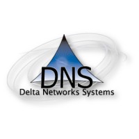 Delta Networks Systems Logo