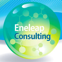 Eneleap Consulting Logo
