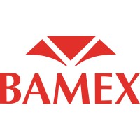 Grupo Bamex, S.A. de C.V. Logo