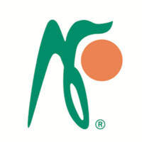 New Funnels (S) Pte Ltd Logo