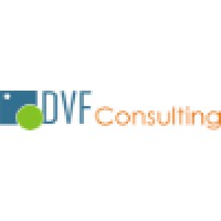 DVFConsulting srl Logo
