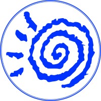 Innovation In Motion Logo