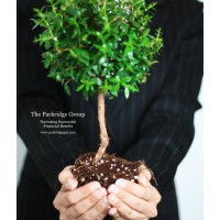 The Parkridge Group Logo