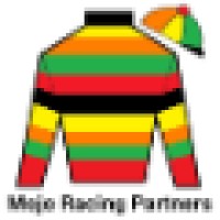 Mojo Racing Partners Logo