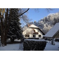 Villa Eleonora Bled Logo