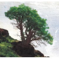 Cypress Independent Living Services Inc. Logo