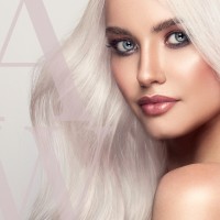 ARTISTS WITHIN MAKEUP ACADEMY . Makeup Diploma Programs . Online Certification . AW03 Makeup Line Logo