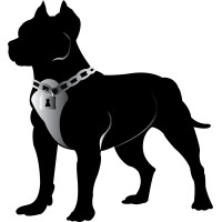 Pitt Bull Secure Technologies, Inc. Logo