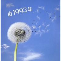 Potential Development Association Ltd. Logo