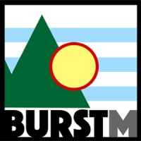Burst Management, LLC Logo