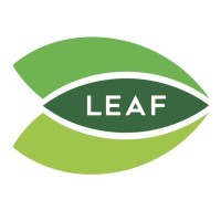 Leadership and Education for All Foundation (LEAF) Logo