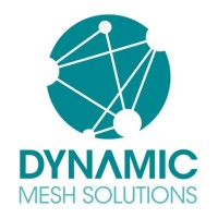 Dynamic Mesh Solutions Logo