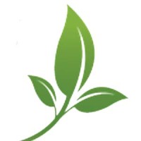 Felibio S.A. de C.V. Logo